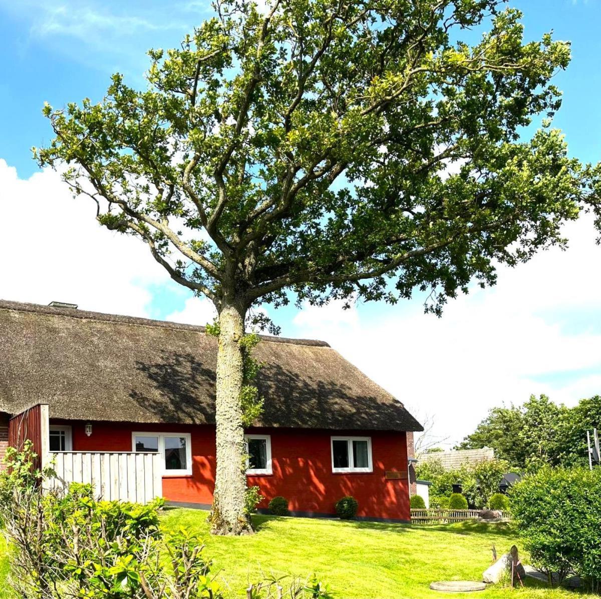 Haus Hanna Dagebüll Exteriör bild